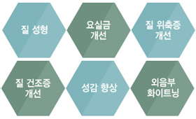 질성형,요실금개선,질위축증개선,질건조증개선,성감향상,외음부화이트닝